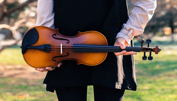 小提琴有几根弦 小提琴有多少根弦，1分钟详细介绍
