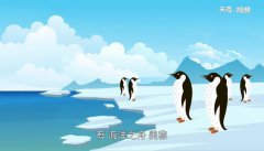 企鹅生活在哪里 企鹅生活在什么地方，详细图文解答