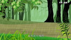梅雨季节是几月份 梅雨季节是哪月【图】