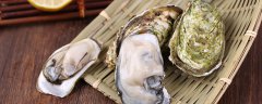 牡蛎和生蚝的区别 牡蛎怎么吃 1分钟告诉你