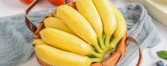 香蕉是发物吗 香蕉不能和什么食物一起吃 1分钟详细介绍