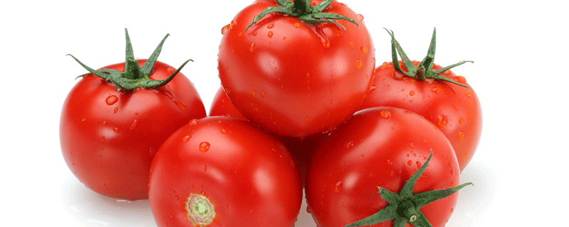 番茄可以生吃吗 