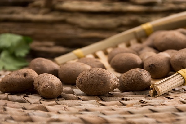 山药豆的功效与作用 山药豆的食用禁忌 详细图文解答