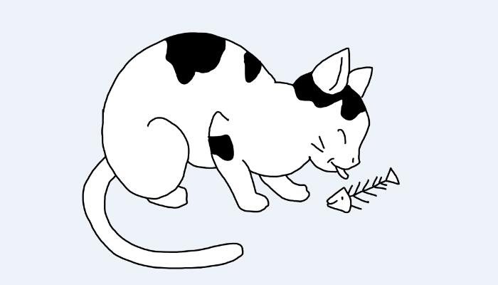 猫为什么喜欢吃鱼 猫喜欢吃鱼的原因是什么 超详细解答