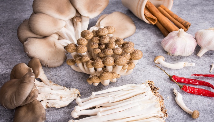平菇怎么做好吃 平菇怎么做好吃又简单 看完你就明白了
