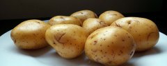 土豆炖西红柿的危害 土豆可以和西红柿一起吃吗 1分钟详细介绍