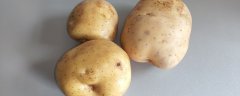 土豆发芽了怎么办 发芽土豆还能吃吗 1分钟详细介绍