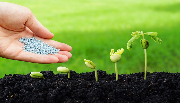 什么叫有机肥 有机肥是什么肥料 超详细解答