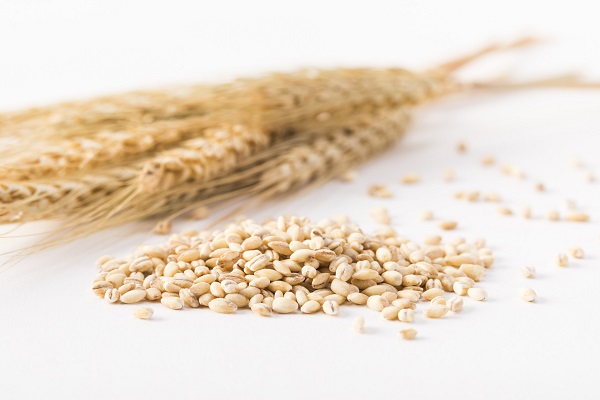 大麦米的功效与作用 大麦米的食用禁忌 1分钟详细介绍