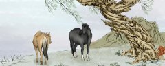 古代的马一天能跑多远 古代的马一天能跑多少里?【图】