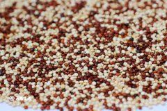 青海藜麦的功效与作用  青海藜麦的禁忌人群 超详细解答