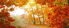 描写秋天的诗句有哪些？