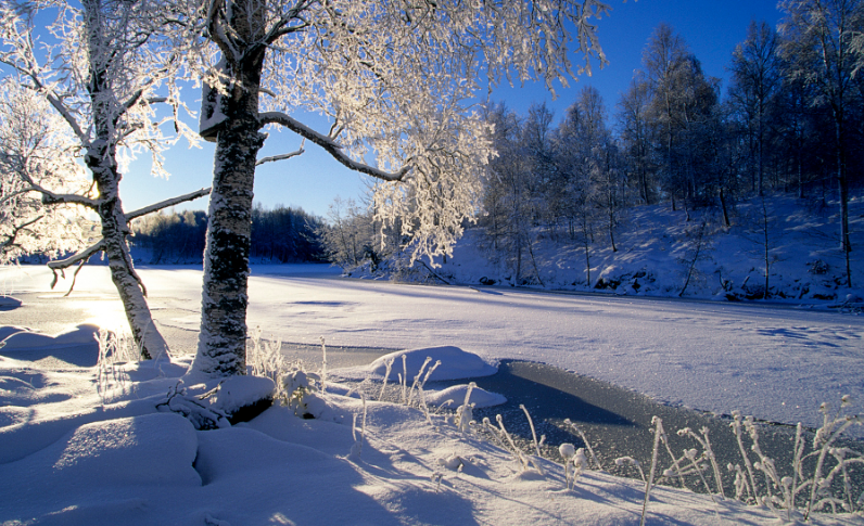 描写冬天的诗句有哪些？