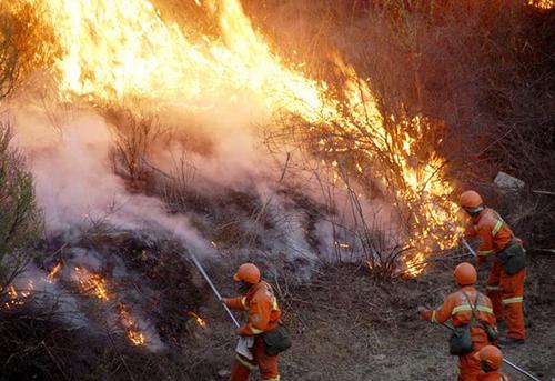 森林防火安全知识有哪些？
