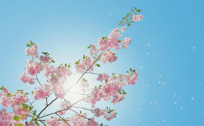 关于春暖花开的诗句有哪些？