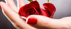 予人玫瑰,手有余香的意思是什么？ 超详细解答