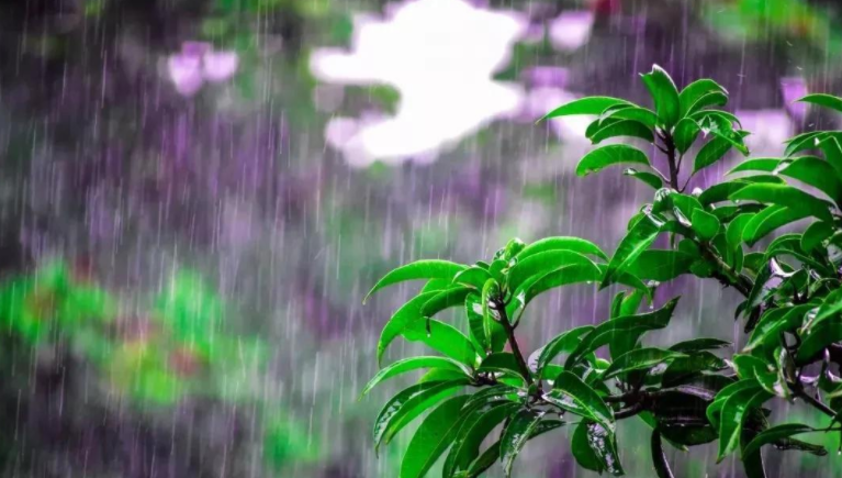 清明节为什么通常会下雨？