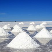 每年大约有多少吨的盐分被海洋带走？