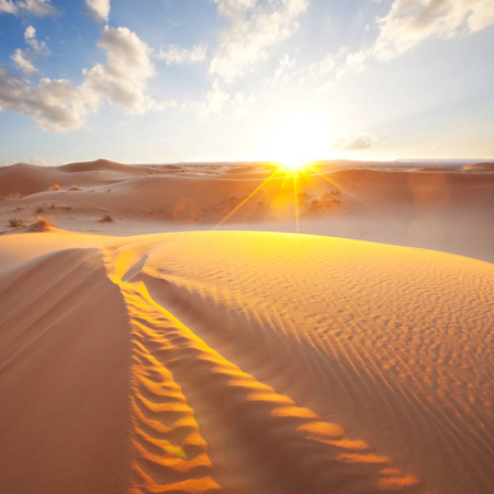 沙漠大约覆盖了地球陆地表面的多少？