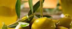 橄榄油的最佳食用方法是什么？