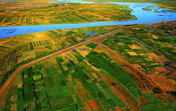 黄河流域面积最大的灌区是哪里？