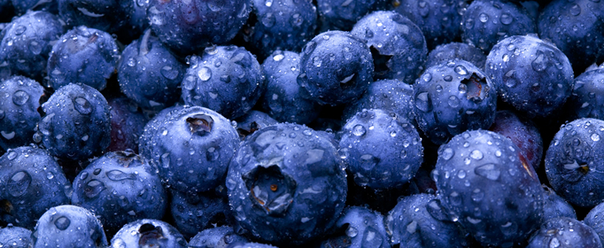 蓝莓一天吃多少为宜？