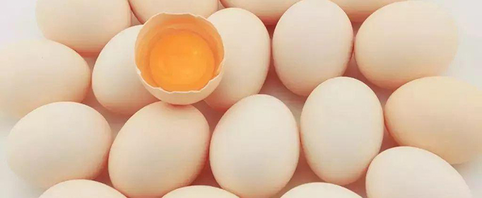一个鸡蛋有多少克蛋白质？