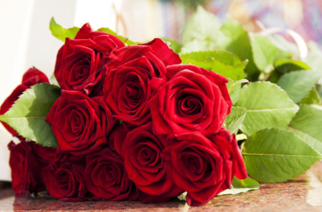 红玫瑰花语是什么？