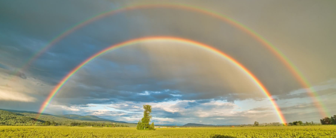 为什么雨后天上挂着彩虹？