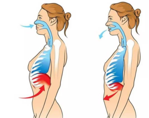 腹式呼吸的正确方法是什么？