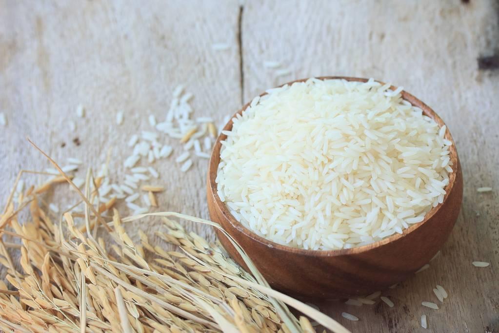 水稻是大米吗？