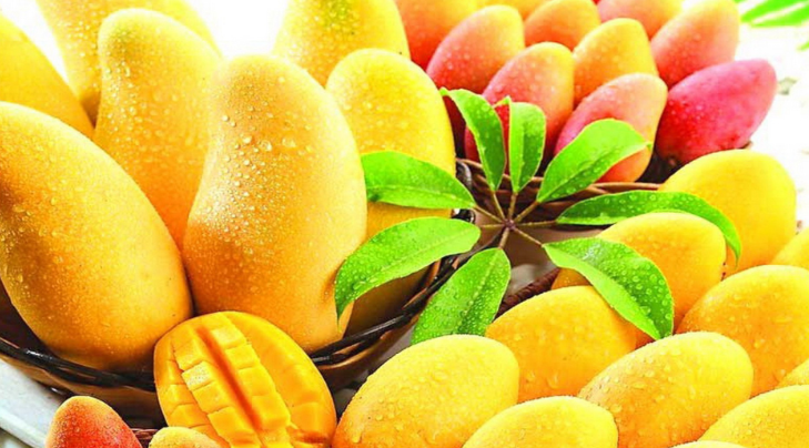 芒果能放冰箱冷藏吗？