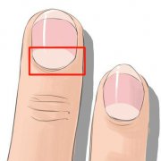 指甲上的月牙少是不健康吗？