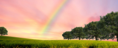 彩虹的七种正确颜色分别是什么？