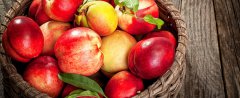 油桃是热性还是凉性水果？