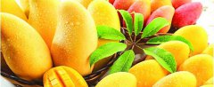 吃芒果的7大禁忌是什么？