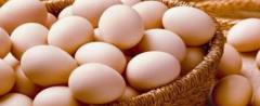 鸡蛋放冰箱可以储存多久？
