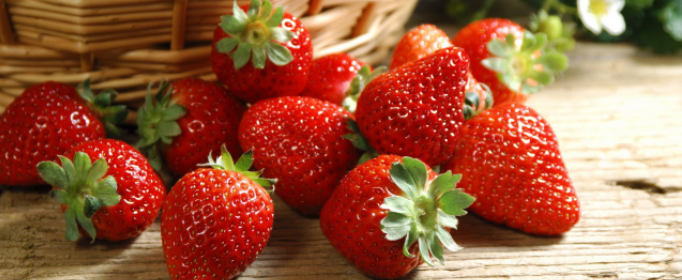 草莓是什么部位？